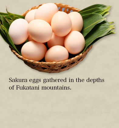 Sakura eggs gathered in the depths of Fukatani mountains.